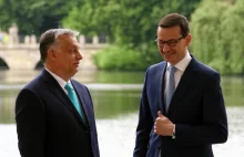 Tego po Orbánie się nie spodziewali. PiS dostało prztyczek od sojusznika...