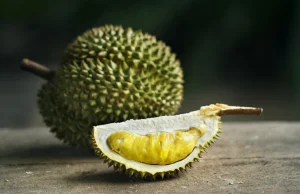 Opisy smaku owocu durian [EN]