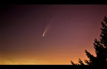 Kometa Neowise 14 lipca 2020 [WIDEO]