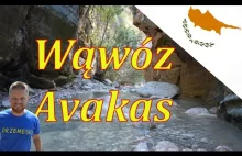 Cypr - Wąwóz Avakas / Avakas Gorge