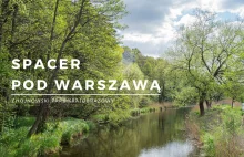 Spacer pod Warszawą - atrakcje w Chojnowskim Parku Krajobrazowym