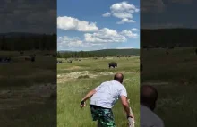 Kobieta udaje "martwą" po upadku, kiedy bizon zaczął ją gonić
