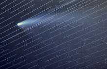 Mikrosatelity kosmicznego internetu Starlink niszczą zdjęcia komety NEOWISE