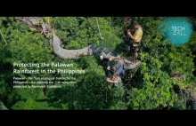 TECH4ALL: The Palawan Rainforest. Na ratunek lasom