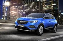 Co dalej z marką Opel? Polscy dealerzy zaniepokojeni spadkami