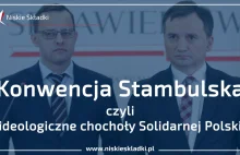 Konwencja Stambulska, czyli ideologiczne chochoły Solidarnej Polski