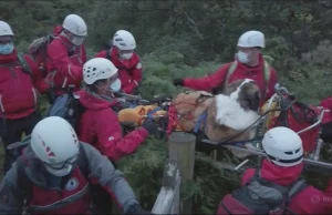 Ten pies zazwyczaj niesie pomoc. Tym razem to on był w potrzebie