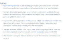Badacze bezpieczeństwa wykryli Doki, malware infekujące dockera