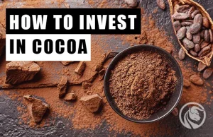 Jak inwestować w kakao?