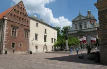 Konserwator zabytków nie chce dębu w centrum Krakowa. Bo psułby widok