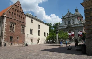 Konserwator zabytków nie chce dębu w centrum Krakowa. Bo psułby widok
