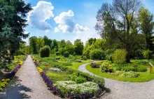 Wirtualna wycieczka po najstarszym ogrodzie botanicznym w Polsce