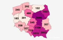 Środki na ochronę zabytków. Podkarpacie: 2053 zł / zabytek, Wielkopolska: 201 zł