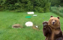 Bieszczady: Niedźwiedź splądrował leśniczówkę. Zajrzał nawet do kanalizacji