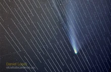 Chciał zrobić zdjęcie słynnej komety. Satelity Elona Muska zasłoniły mu kadr.