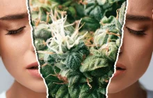 Marihuana przynosi ulgę 9 na 10 pacjentom cierpiącym na migrenę