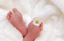 Rekordowy noworodek przyszedł na świat w Piekarach Śląskich.