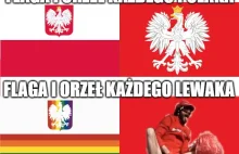 Co różni lewicę i prawoicę w Polsce. Spojrzenie na barwy i godła narodowe...