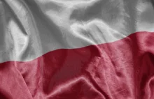 Polskie zespoły muzyczne nie chcą występować z neonazistami