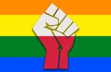 Aktywiści LGBT wywołają zamieszki w całej Polsce?! Tęczowe lobby w...
