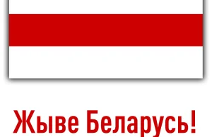 Cichanouska 71,1% Łukaszenka 15,7%