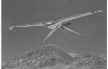 CIA przyznało się do pracy nad ptakami szpiegowskimi (drony z napędem jądrowym)
