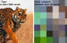 Number of Pixels Used in These Photos Is the Number of Animals Left of...