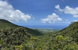 Mieszkańcy Mauritiusa walczą z potężnym wyciekiem ropy