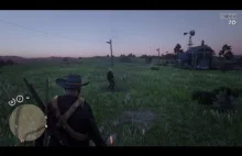 Red dead Online licze na glitche