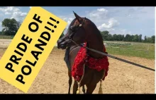 Pride of Poland od zaplecza!!! - Vlog04 | Lenart Arabian Horses