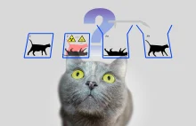 Kot Schrödingera – o co chodziło słynnemu fizykowi?