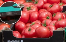"Polskie" pomidory, ale prosto z Holandii. Sieć tłumaczy i przeprasza
