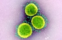 Przypominająca dawka szczepionki na gruźlicę może chronić przed COVID-19