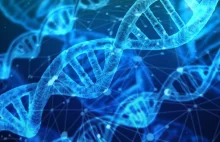 W ludzkim genomie odkryto ślady DNA nieznanego jeszcze gatunku człowieka