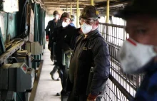Koronawirus na Śląsku: "Zakażeni" górnicy: "Nikt ich nawet nie zbadał"
