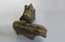 Gliniane figurki świnek sprzed 3,5 tys. lat odkryte w ufortyfikowanej osadzie
