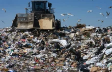 Polska importuje 70 000 ton śmieci z uk rocznie