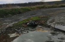 Mężczyzna uratował psa, który utknął na bagnach