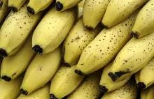 W kartonie z bananami znaleziono 19kg kokainy. Nowa promocja w Stonce?