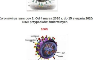 Koronawirus kontra grypa - statystyki!