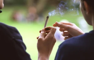 Legalizacja marihuany nie wpływa na jej używanie przez młodzież
