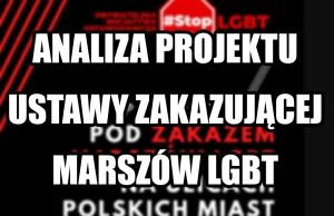 Fundacja Kai Godek chce ustawą zakazać marszów LGBT, opublikowano projekt ustawy