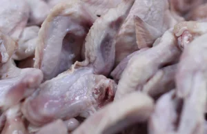 Polskie mięso zakażone salmonellą? Coraz więcej sygnałów z Bułgarii