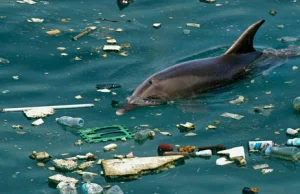 W Atlantyku jest ponad 10 razy więcej plastiku niż sądzono