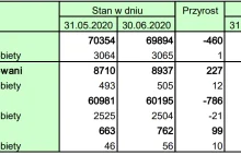 Mężczyźni w PL to sprawcy 91% przestępstw i 96% więźniów