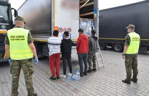 Kierowca ciężarówki zatrzymał się na parkingu, z naczepy usłyszał dziwne...