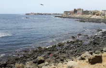 2,7 tys. ton saletry amonowej w porcie w Dakarze. Obawa przed powtórką z Bejrutu