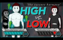 TESTOSTERON: Jak zwiększyć poziom testosteronu i jego efekty [ENG] - 46 min