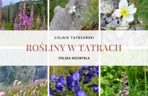Rośliny zielne w Tatrach - zielnik tatrzański