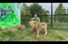 Rosjanin kontra 4 lwy
